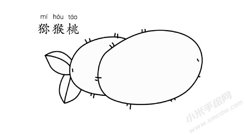 猕猴桃儿童简笔画图片