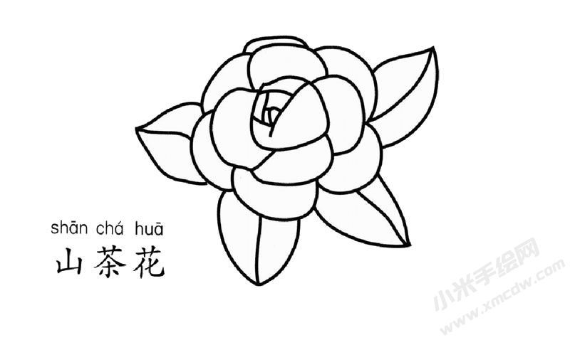 山茶花简笔画图片