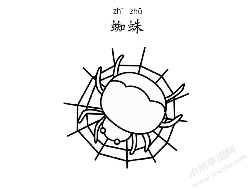 蜘蛛简笔画图片