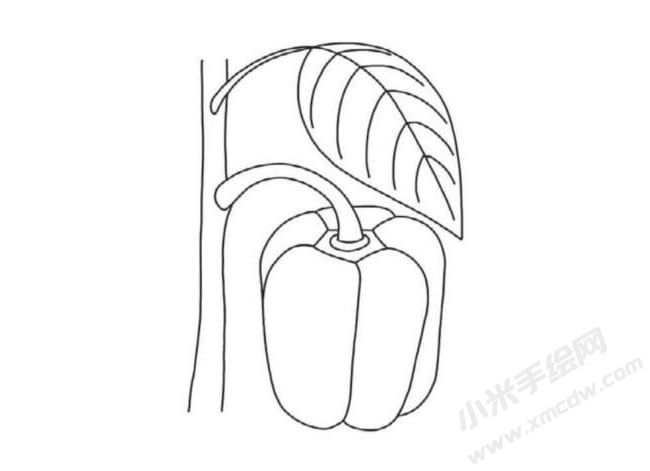 太空椒简笔画分步画法图示06.jpg