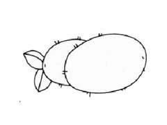 猕猴桃儿童简笔画步骤图示
